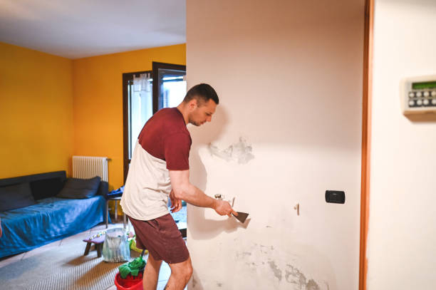 Best Commercial Mold Removal  in Schertz, TX