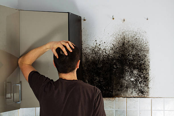Best Crawl Space Mold Removal  in Schertz, TX